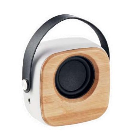 Ohio Speaker