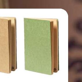 Notebook Rayish